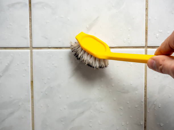 Best Certified Mold Removal  in Delphos, OH