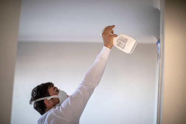 Best Local Mold Removal Service  in Delphos, OH