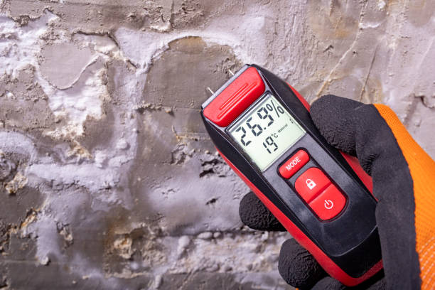 Best Mold Testing  in Delphos, OH