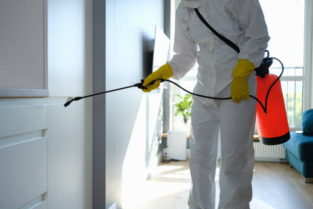 Best Commercial Mold Removal  in Delphos, OH