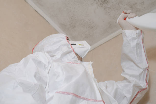 Best Emergency Mold Removal  in Delphos, OH