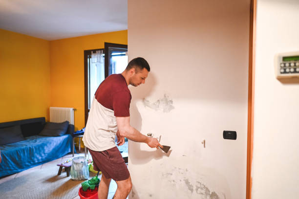 Best Mold Removal and Inspection  in Delphos, OH