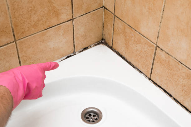 Best Mold Testing  in Delphos, OH